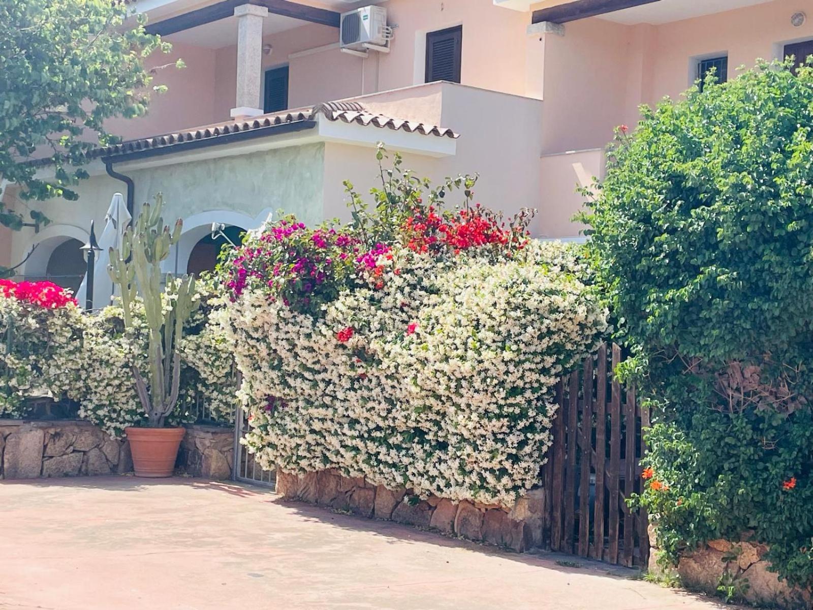 Appartamento Le Querce Vaccileddi エクステリア 写真